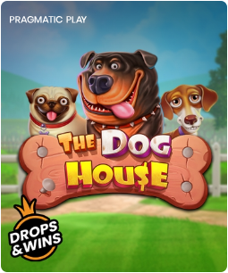 the dog house